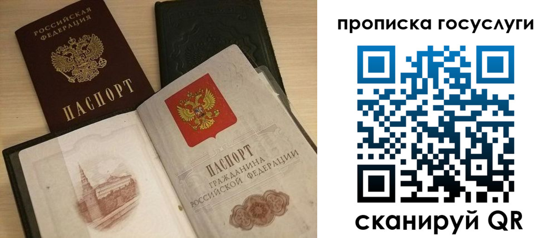 прописка иностранных граждан в Краснодарском крае